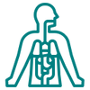 digestion icon