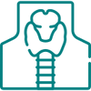 thyroid icon